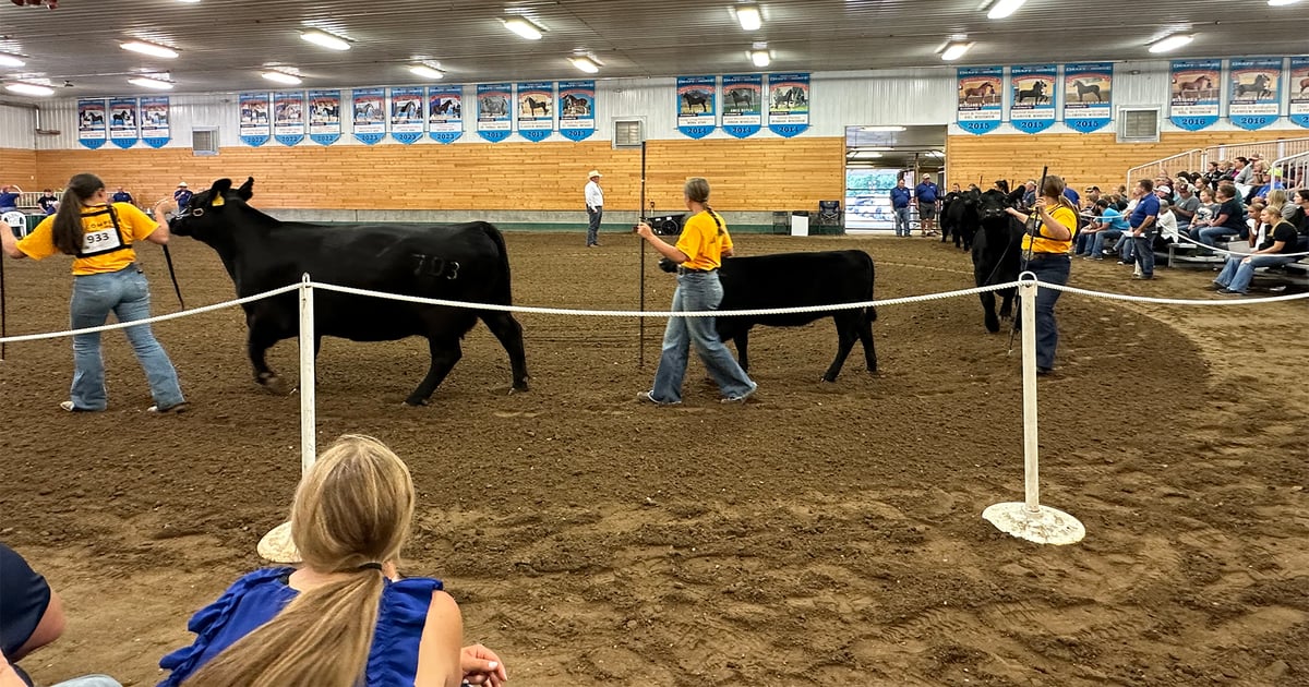 Explore Minnesota’s county fairs this summer