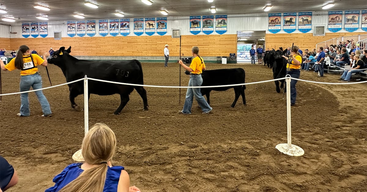 Explore Minnesota’s county fairs this summer