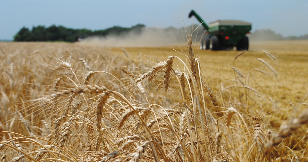 Applications open for new Nebraska LEAD class