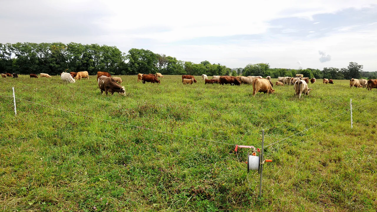 Grazing Process NRCS unveils ‘Conservation Choices for Healthy Pastures’ guide for Iowa ...