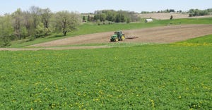 tractor in alfalfa field