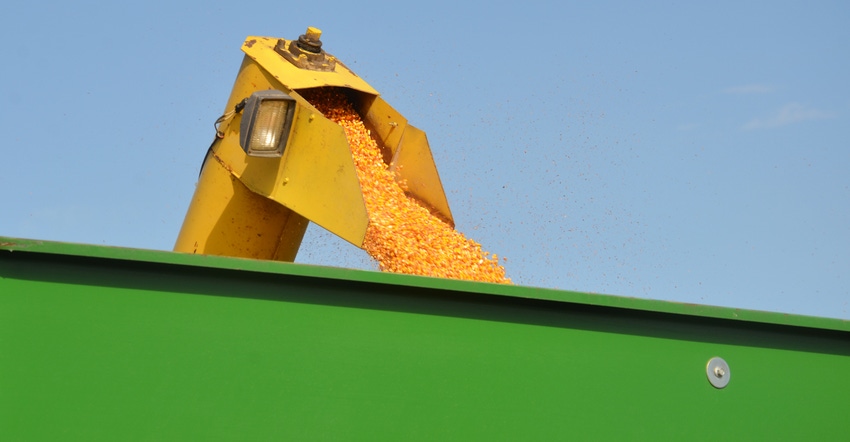 auger expelling corn into grain cart