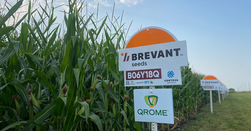 Brevant_Seeds_FP.com_1540x800.jpg Brevant_Seeds_FP.com_1540x800.jpg
