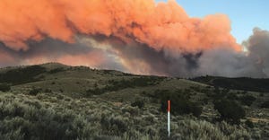 Cheatgrass firestorm in Nevada