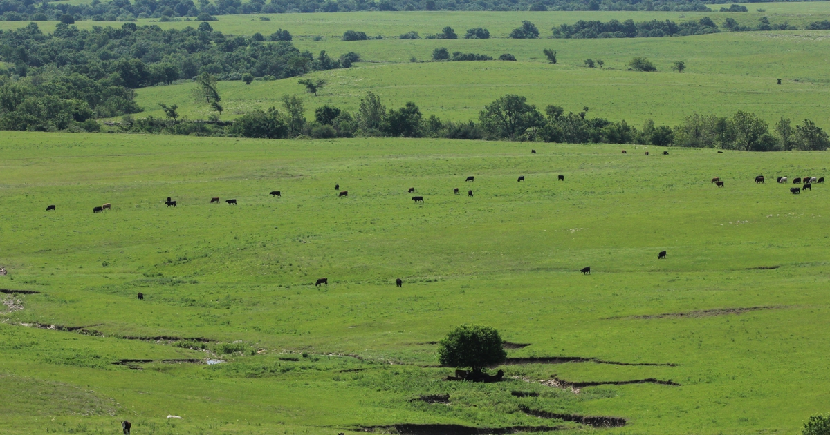 Kansas Land Trust dedicates Youngmeyer Ranch conservation easement