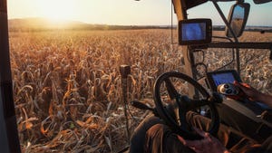 A farmer on a combine harvesting corn