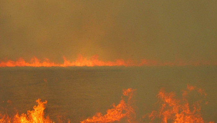 burn-field-haire-web.jpg burn-field-haire-web.jpg