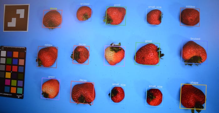 Strawberries on imaging machine