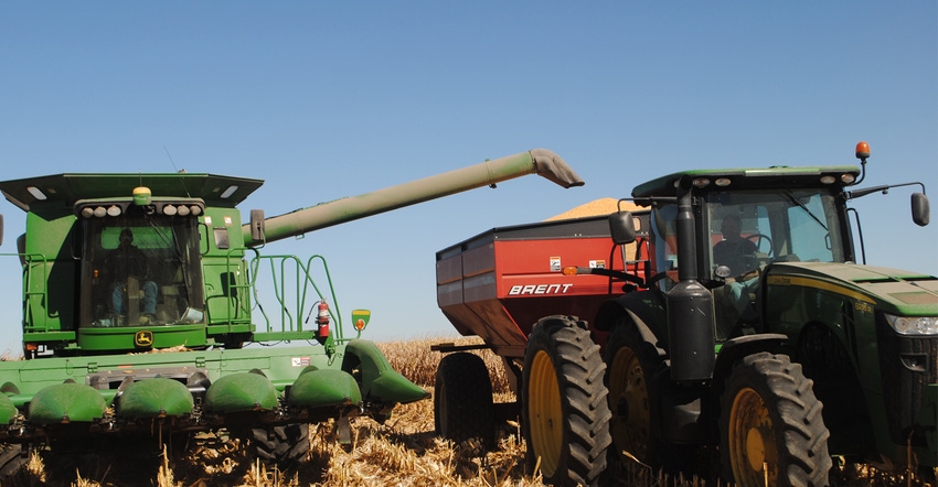 Combine and auger in corn field during harvest