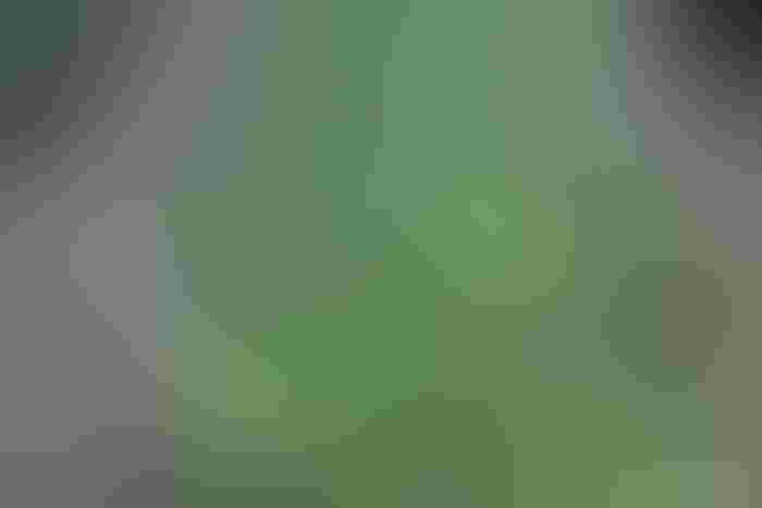 1223H1-1840B-1540x1027.jpg 1223H1-1840B-1540x1027.jpg