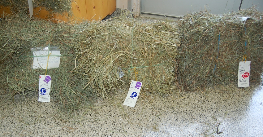 hay bales being judged