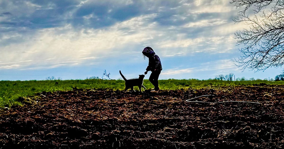 Farm garden mishaps: Embracing summer joys beyond perfect produce