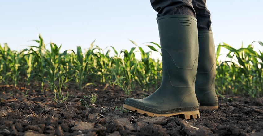 rubber boots standing in field