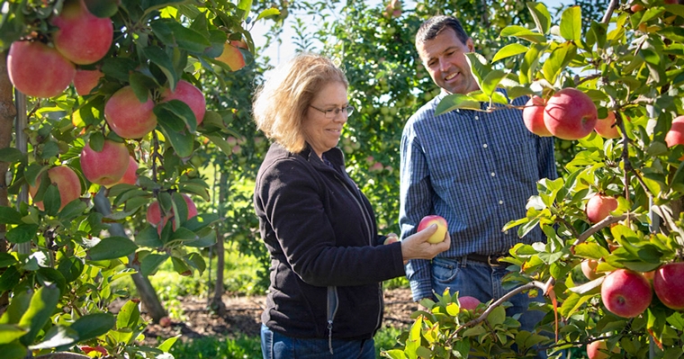 The New Year brings opportunities for core apple varieties