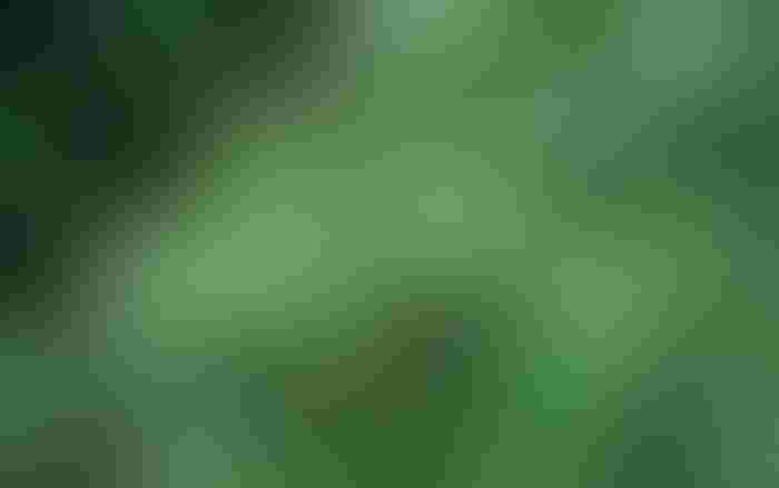 0525W1-1843B-770x483.jpg 0525W1-1843B-770x483.jpg