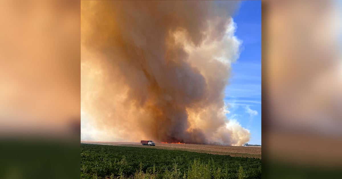 How to protect your crop from a drought fire