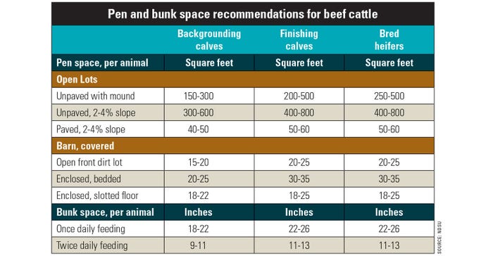 A graphic table showing the pen and bunk space recommendations for beef cattle