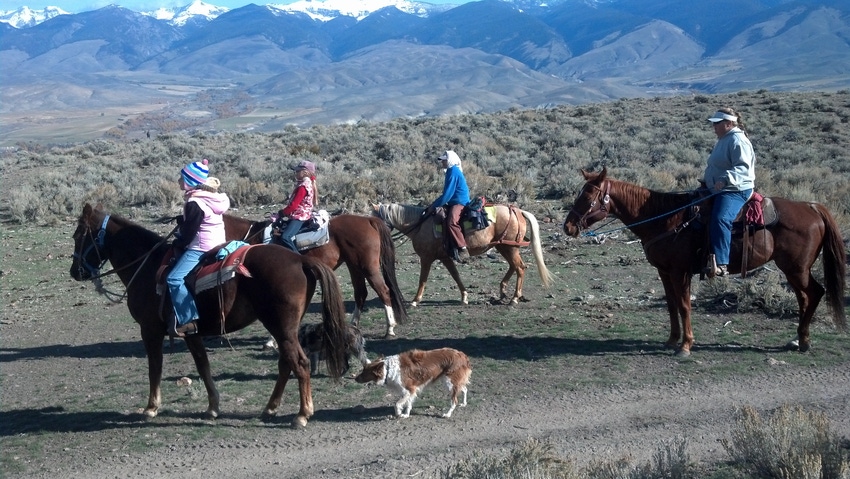How To Pass The Farm To The Kids how-to-pass-the-farm-to-the-kids