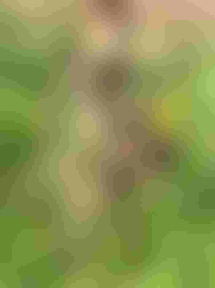 0511W1-1844B-770x1030.jpg 0511W1-1844B-770x1030.jpg