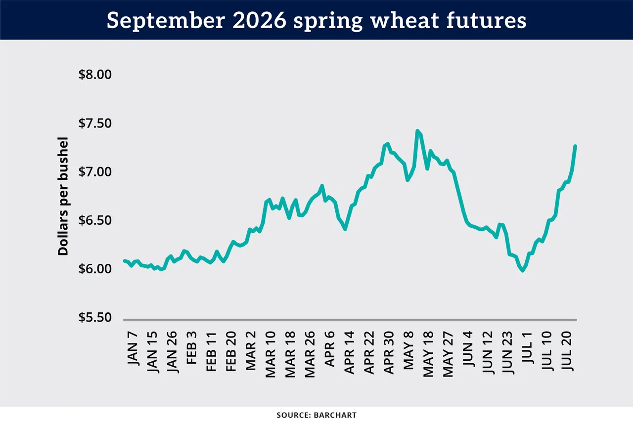 Chart: September 2026 spring wheat futures