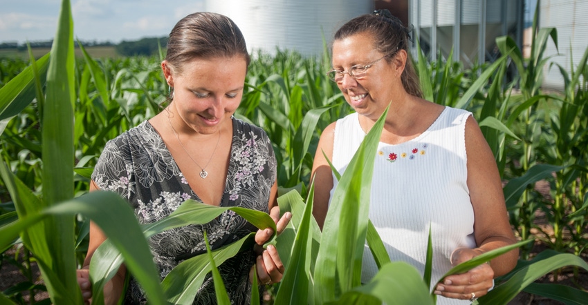two women inspecting corn plants