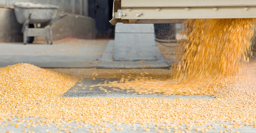 Unloading corn from semi at elevator