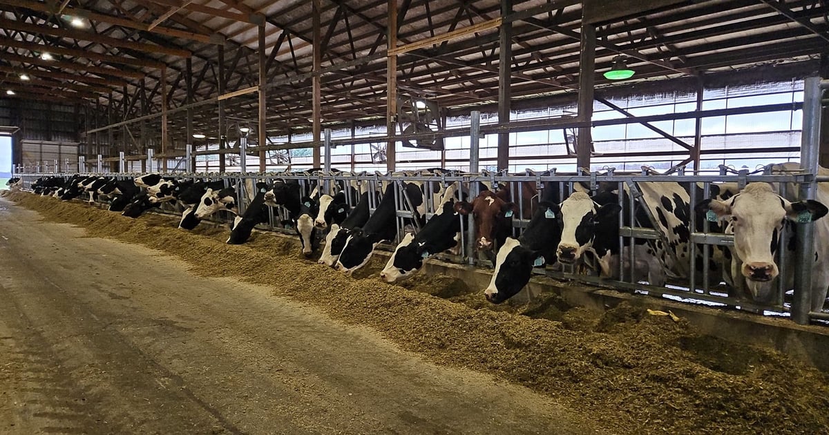 Bird flu hits Wisconsin dairy farm for first time