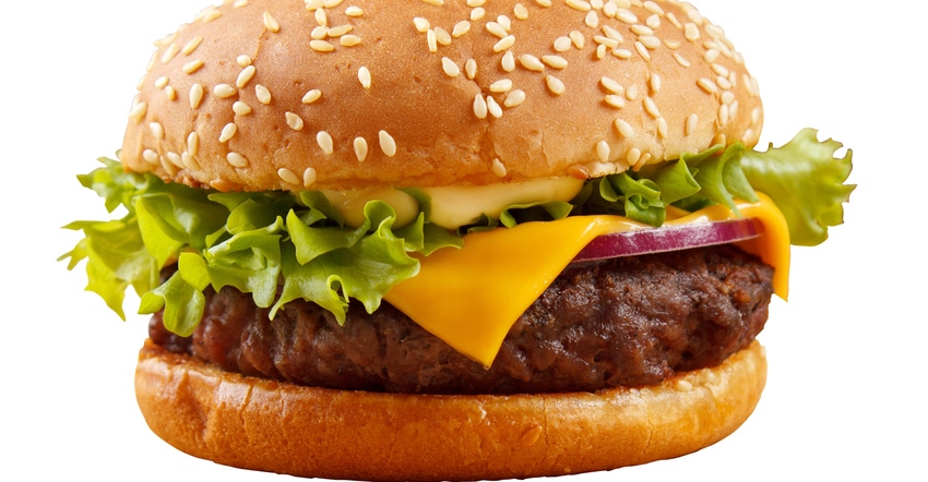 close-up of a hamburger close-up of a hamburger