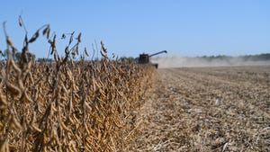 Combine in distance harvesting soybean field