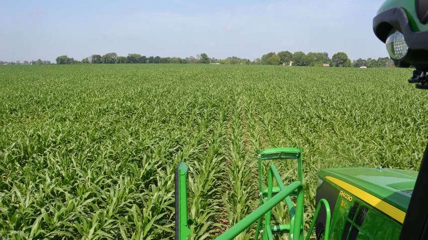 view of cornfield from sprayer