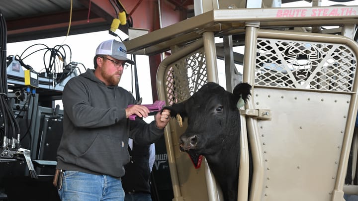 HHD ’26 serves up prime beef programming with focus on safety