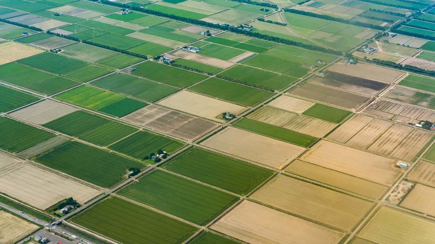 Aerial view of farmland fields