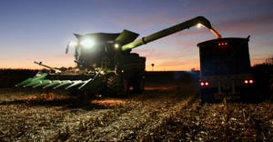 combine harvesting at night