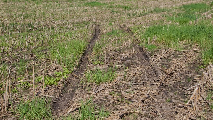 USDA extends crop insurance payment deadline, restores coverage