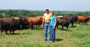 a mand and woman standing in front of beef cattle