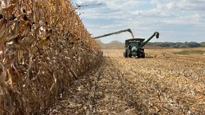 cornfield being harvested