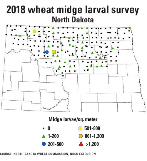 ND map wheat midge larval population survey