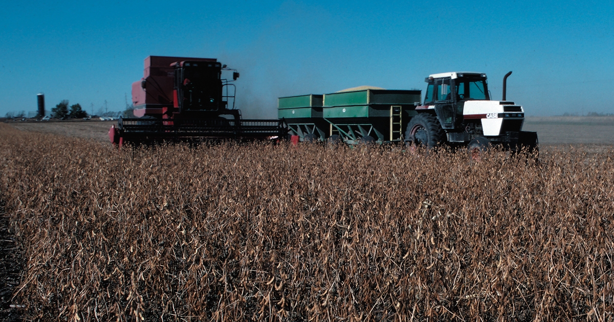 What does it take to raise 100bushel soybeans?