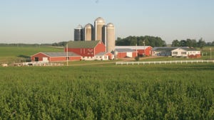 cornfield, red barns and silos