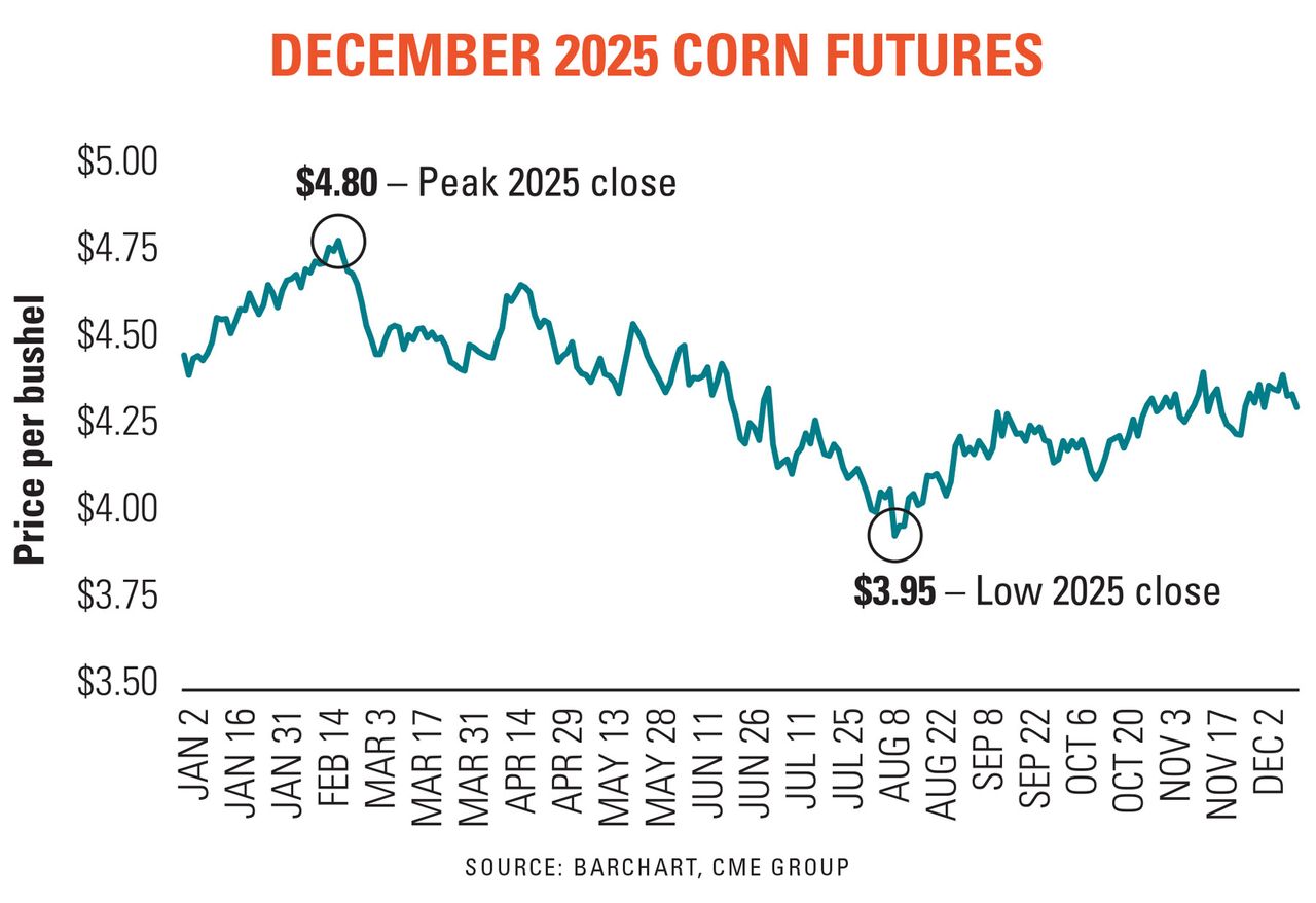 01269024-corn-1800x1236.jpg 01269024-corn-1800x1236.jpg
