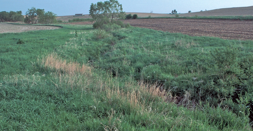 buffer strips on crop field