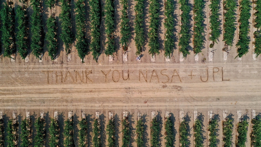 A grateful message written among grapevines.
