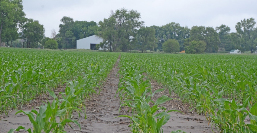 A subsurface drip irrigated field at the West Central Research and Extension Center was added to the TAPS program for its thi