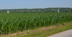 irrigation system in cornfield