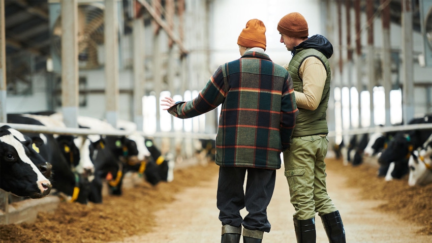 Rear view of young farmers in workwear standing in aisle between cowsheds and having a discussion