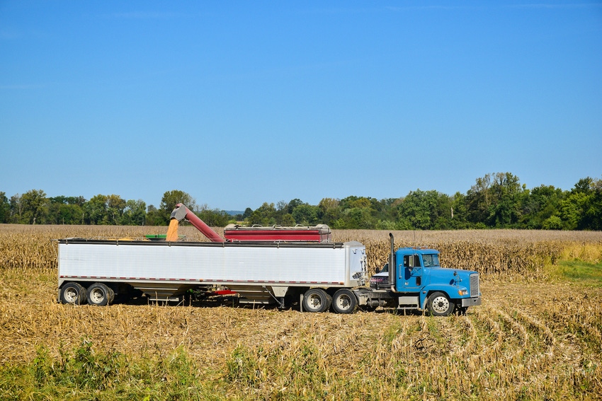 unloading-grain-harvest-1025670736.jpg