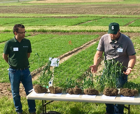 Kalvin Canfield and Dr. Manni Singh with Michigan State University explain wheat seeding population trials during the Michigan Wheat Program summer field day, June 12
