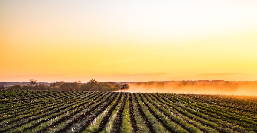 machinery in field at sunrise