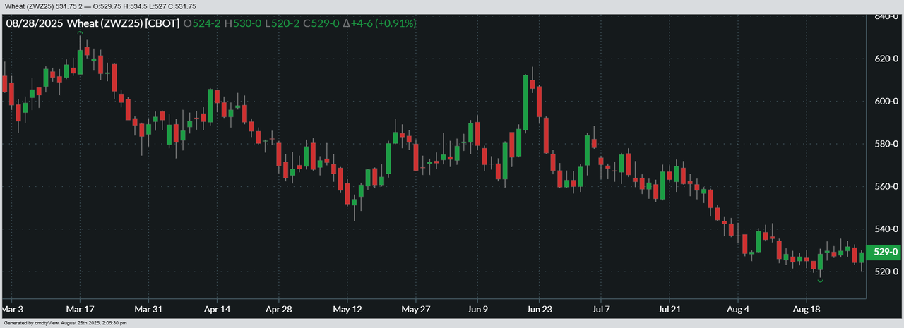 08-28-2025_CHI_WHEAT_6mo.png