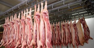 Refrigerator meat storage with hanging pork